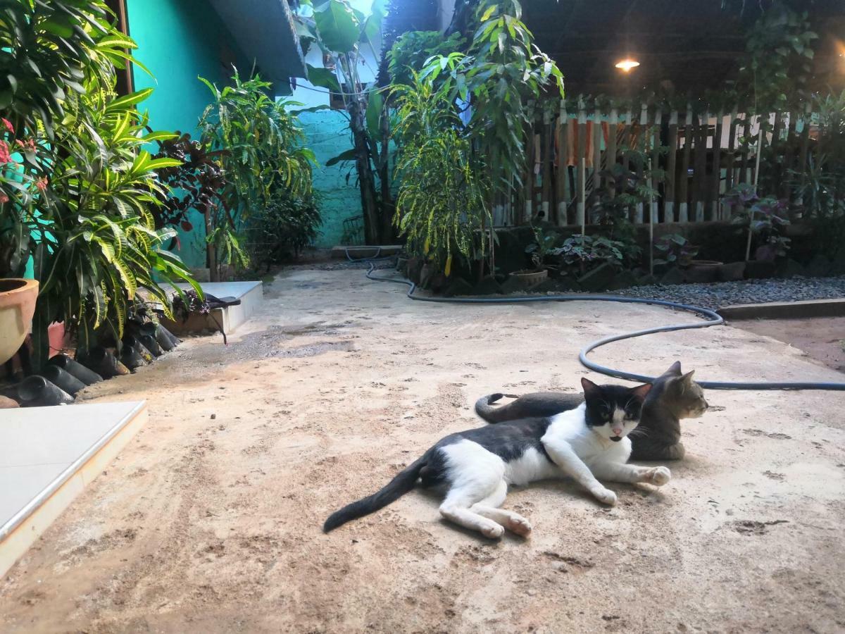 Alass Ga For Pets Lovers ตรินโคมาลี ภายนอก รูปภาพ